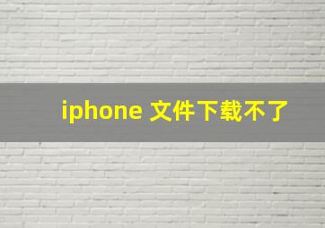 iphone 文件下载不了